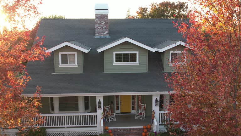 Best Roof Moss and Algae Removal  in Town And Country, MO